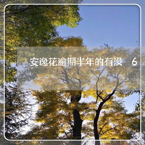 安逸花逾期半年的有没 6 安逸花逾期半年的有没 6